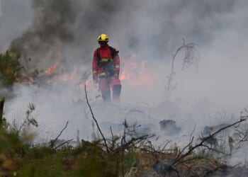 Wildfires in France drive 250,000 people from their homes and creep toward wine city of Bordeaux