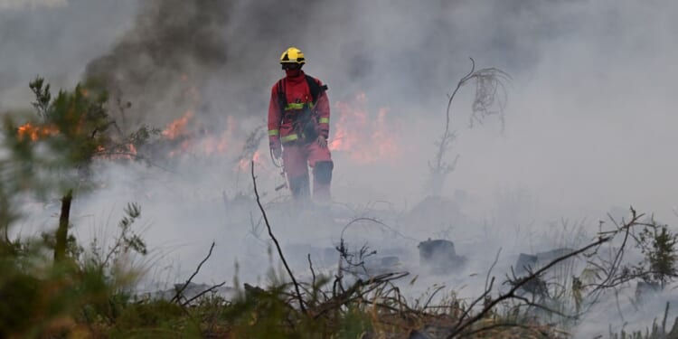 Wildfires in France drive 250,000 people from their homes and creep toward wine city of Bordeaux