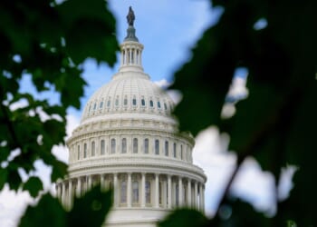 Georgia teen pleads guilty to gun charge for running onto Capitol grounds with loaded shotgun