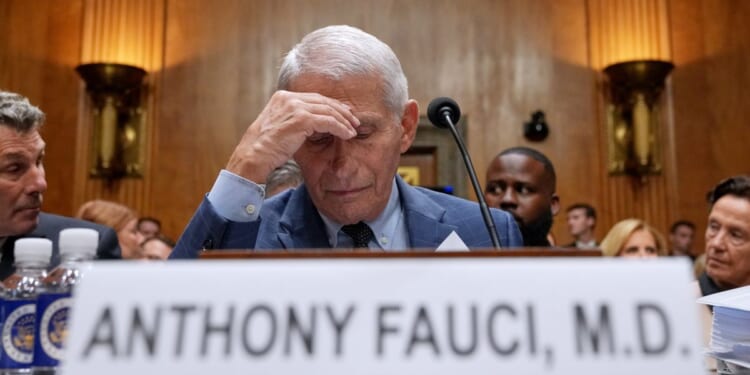Trump says he warned Biden about Fauci, was ignored