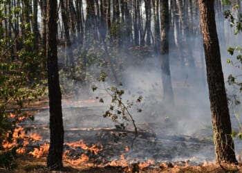 Southern Europe burns as 2 firefighters die and France battles blaze 4 times the size of Paris