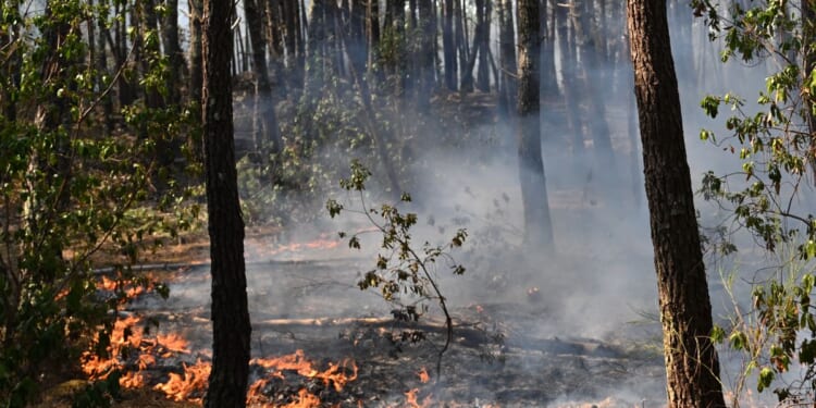 Southern Europe burns as 2 firefighters die and France battles blaze 4 times the size of Paris