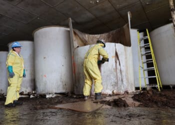 Rotten fish sauce that has long stunk up a small Canadian town is finally being removed