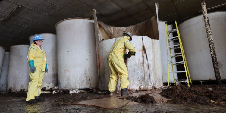 Rotten fish sauce that has long stunk up a small Canadian town is finally being removed