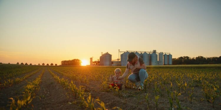 A mother and toddler son playing with a toy tractor.