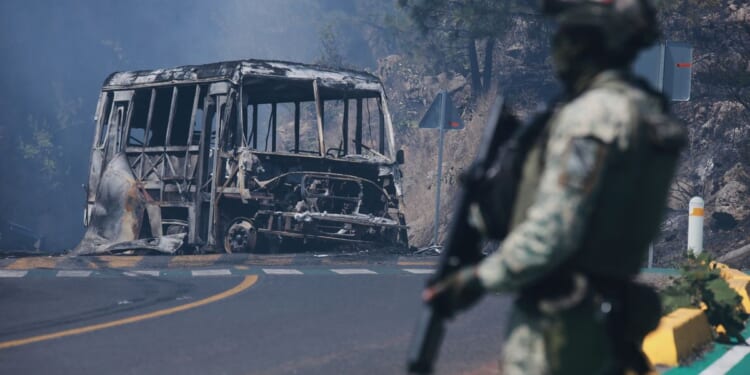 Man whose slain brother led Mexican cartel pleads guilty to drug charges in U.S.