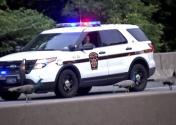 A PA State Trooper Was Killed by an Illegal in a Semi Last Wednesday Morning – HotAir