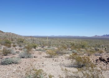 A Week Ago Sunday Downtown Tucson Had a Mass Shooting – HotAir