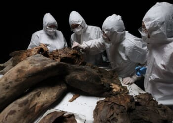 Scientists perform a necropsy on the 50,000-year-old baby mammoth nicknamed "Yana" at the North-Eastern Federal University in Yakutsk on March 27, 2025.