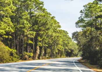 A road near the coast in Alabama.