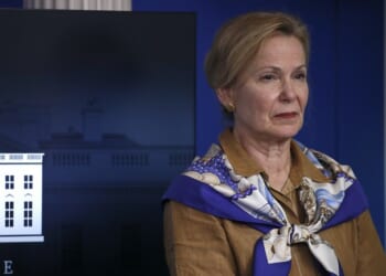 Don’t Forget the Role the ‘Scarf Queen’ Played in the Fauci Cabal – PJ Media