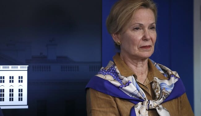 Don’t Forget the Role the ‘Scarf Queen’ Played in the Fauci Cabal – PJ Media