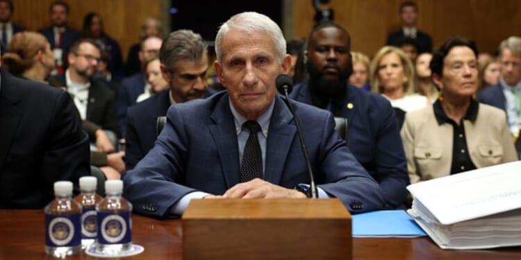 Anthony Fauci sits in the Senate Homeland Security and Governmental Affairs Committee Chambers on July 29, 2026.