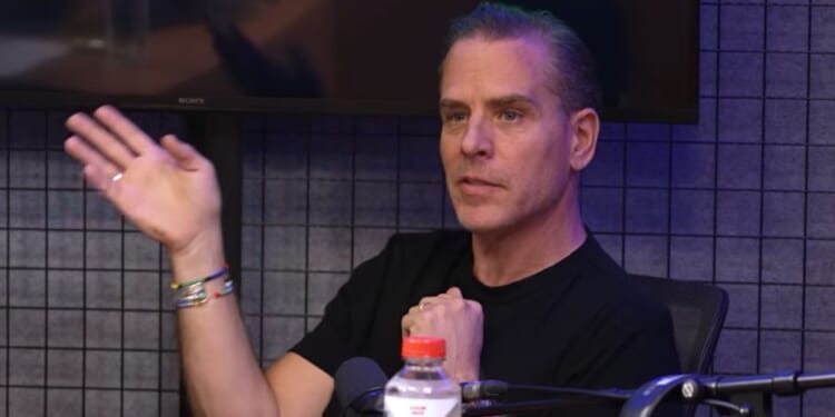 Hunter Biden went on an expletive-filled rant against President Donald Trump, his kids, and even his grandkids.
