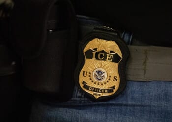 ICE Charges Woke Doxxer and Targets Chihuahua-Killing Illegal Alien – PJ Media