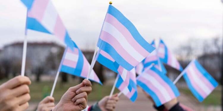 People hold up transgender flags outside on a cloudy afternoon.