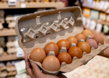 The eggs originated in Texas and were distributed to several southern states.
