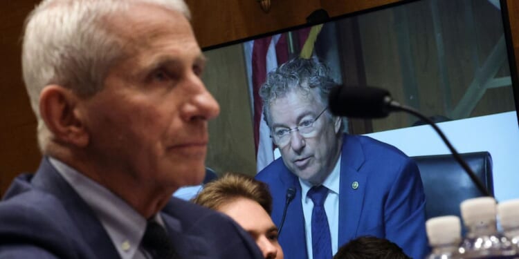 Committee Chairman U.S. Senator Rand Paul (R-KY) appears on a monitor as former NIH Director Anthony Fauci testifies before the Senate Homeland Security and Governmental Affairs Committee hearing on July 29, 2026 in Washington.