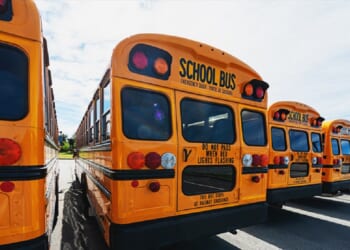 A fleet of school buses in a parking lot.