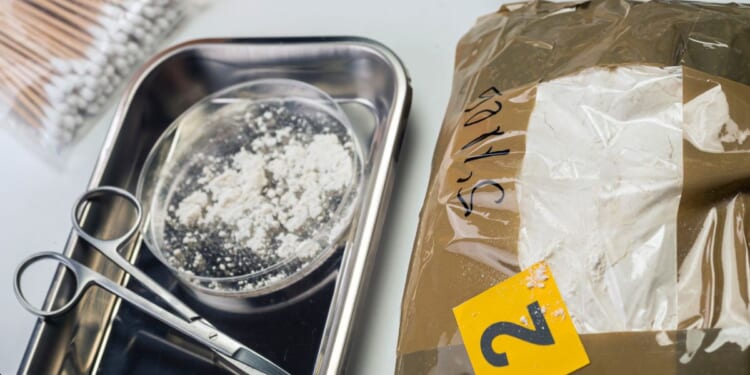 Investigators said the professor marketed and distributed two forms of fentanyl powder, resulting in at least eight overdoses.