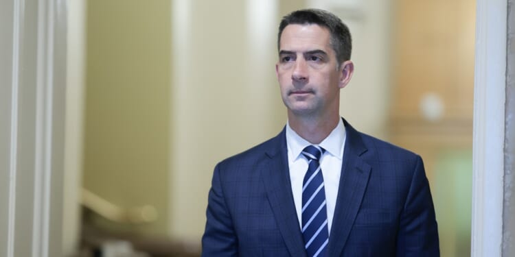A man in a blue plaid suit and striped tie stands indoors, looking ahead with a neutral expression. The background is softly blurred, emphasizing the formal setting.