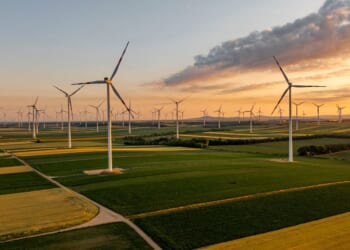An expansive field with golden and green crops dotted with wind turbines under a serene sunset sky.