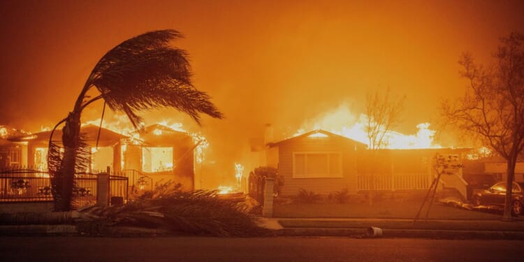 Utility’s idle transmission tower caused 2025 Eaton fire that killed 19, Los Angeles officials say