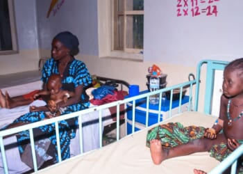 Dozens of Nigerians freed after 6 months in jihadi captivity