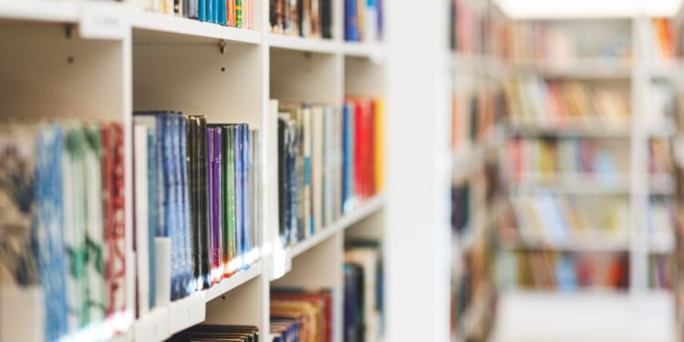 Homeless couple arrested in Arizona, accused of selling hundreds of books from public library