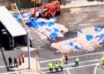 Truckload of squid spills into the street in Rhode Island, creating a smelly mess in the summer heat