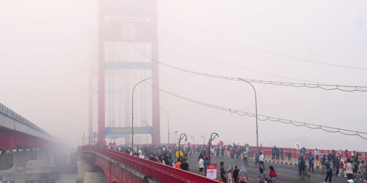 Indonesian police arrest 72 people suspected of starting forest fires