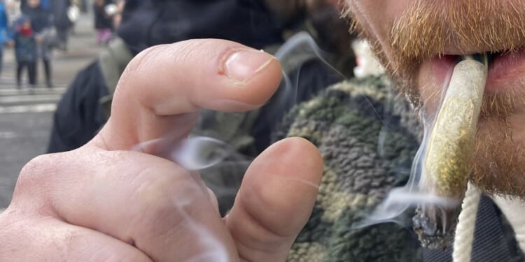 Study warns marijuana users suffering ‘scream-vomiting’ to quit the drug