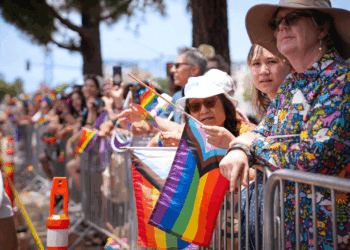 A diverse crowd stands behind metal barricades at a Pride parade, holding rainbow and Progress Pride flags. People wear colorful attire and hats, watching the event on a sunny day. Trees and street signs are visible in the background.