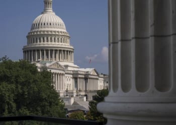 Chinese-American Warns Against Hiring Chinese Assets in Congress – PJ Media