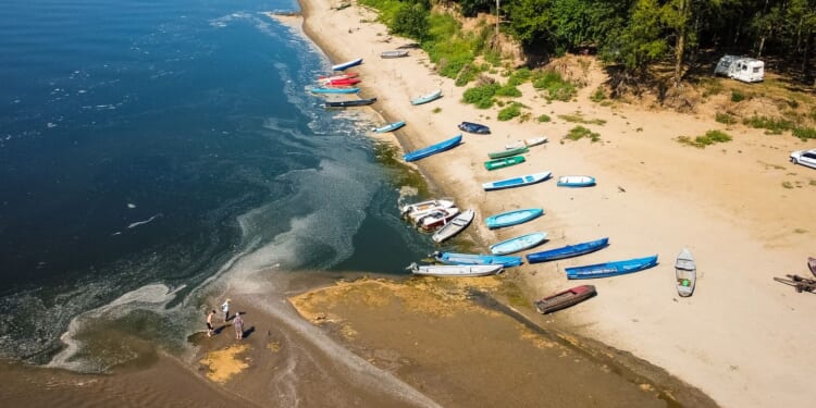 Drought and heat grip Central Europe, record-low Danube River affects tourism and industry