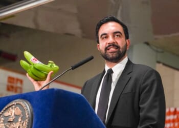 Mamdani's Grocery Stores Expose the Democrats' Biggest Voter ID Lie – PJ Media
