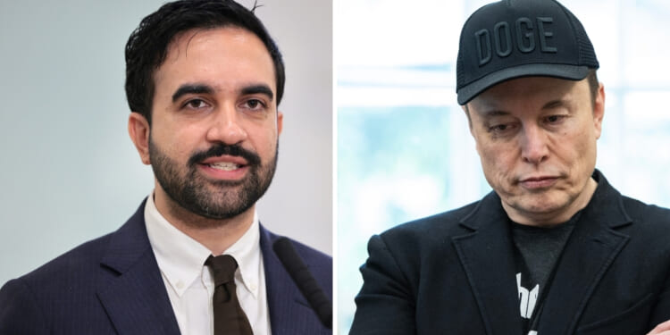 Elon Musk responded after a former staffer for New York City Democratic Mayor Zohran Mamdani made a threat against his life.