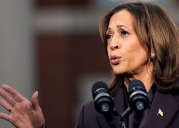 Former Vice President Kamala Harris pictured in a November 2024 file photo.