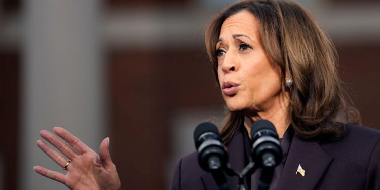Former Vice President Kamala Harris pictured in a November 2024 file photo.