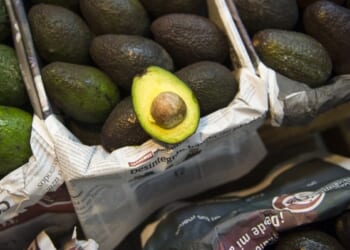 Security Alert Squeezes Mexican Avocado Pipeline to the U.S. – PJ Media