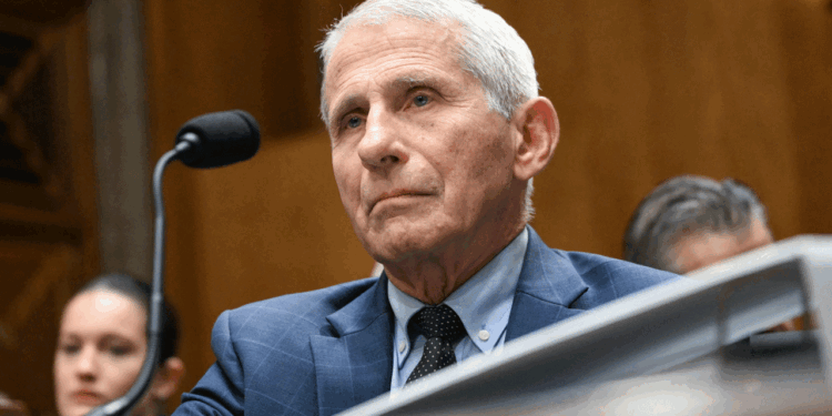 Dr. Anthony Fauci waits for the start of a Senate Homeland Security and Governmental Affairs committee hearing on July 29. Fauci, the former Director of the National Institute of Allergy and Infectious Diseases, testified after Sen. Rand Paul, R-Ky.,, released more than 1000 pages of Fauci's diary entries from the COVID-19 pandemic. (Alex Wroblewski/AFP via Getty Images)