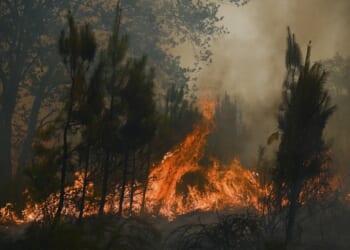 The Guy Arrested for the Spokane Fire Has Been Investigated Before for ... Aw, You Guessed It – PJ Media
