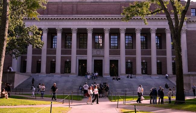 The Problem Is Not Just DEI or Academic Fraud; Academic Standards Are Gone – HotAir
