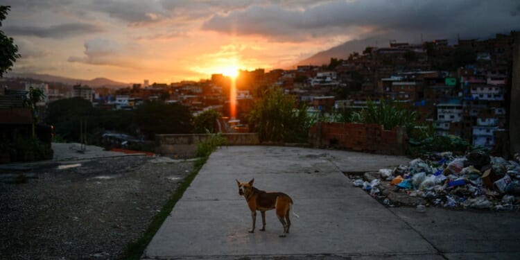 A dog barks in the Petare neighborhood in Caracas, Venezuela, on July 22, 2019, as the capital and other parts of Venezuela are being hit by a massive power cut.