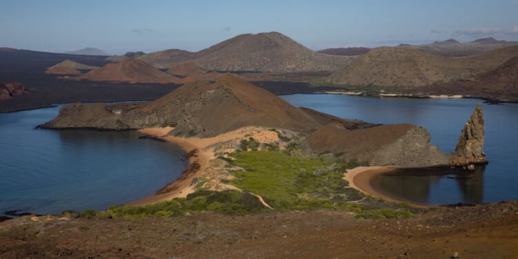 A stronger-than-normal El Nino alarms scientists over Galapagos wildlife and forests