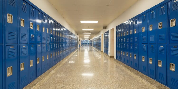 A typical empty school hallway with royal blue metal lockers along both sides of the hallway.