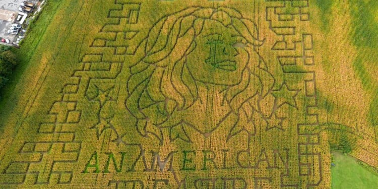 Aw shucks: Dolly Parton corn mazes crop up in fields nationwide