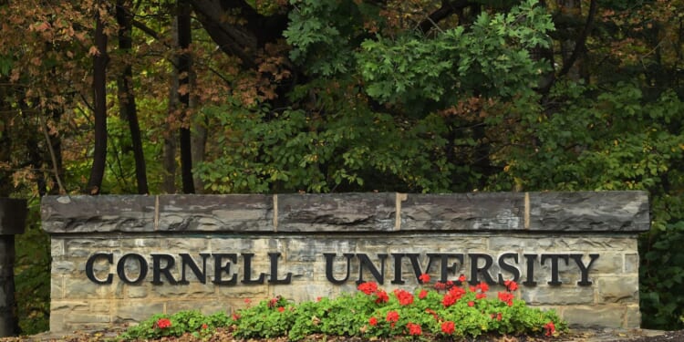 Cornell rape allegations lead to renewed scrutiny of laws on intoxication and consent