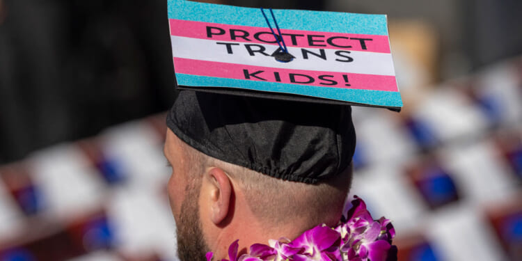 A person wearing a graduation cap decorated with the trans pride colors and the words Protect Trans Kids! stands among a crowd, with a purple flower lei around their neck. Teachers are being taught to indoctrinate according to a new study.