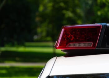 Hungarian man steals small plane, lands in field and tries to commandeer passerby's car